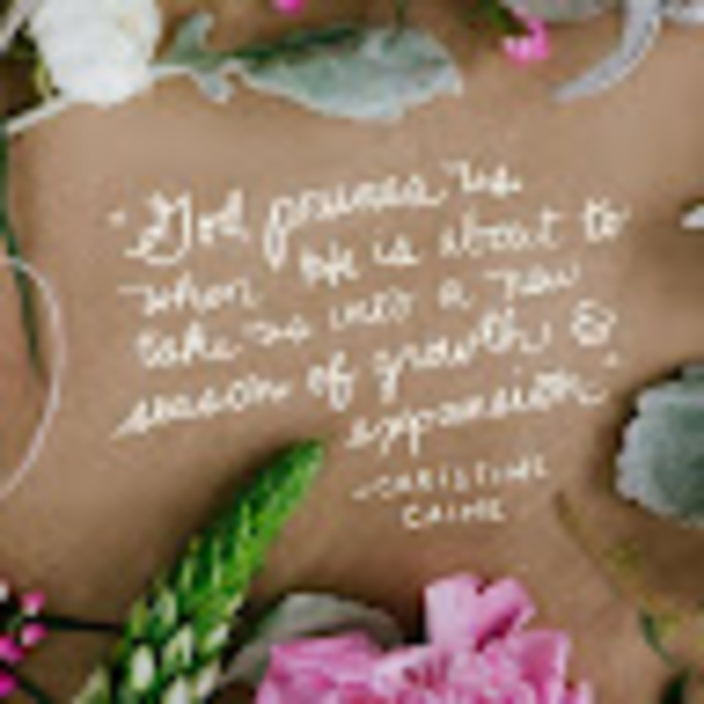 Meet your Posher, Leena